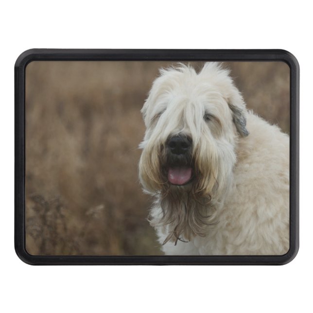 wheaten-terrier 2 tow hitch cover (Front)