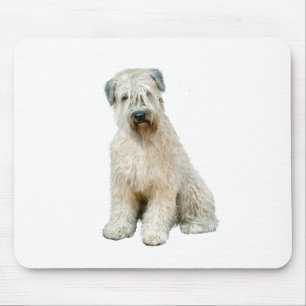 Wheaten Terrier (C) Mouse Pad