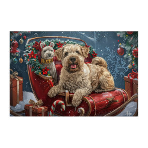 Wheaten Terrier Dog Christmas Festive Acrylic Print