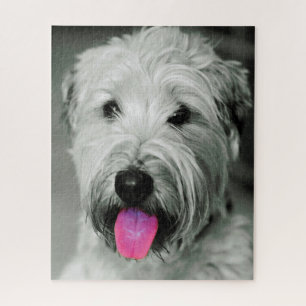 Wheaten Terrier Dog Jigsaws. Jigsaw Puzzle