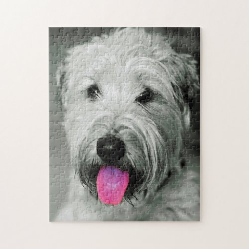 Wheaten Terrier Dog Jigsaws Jigsaw Puzzle