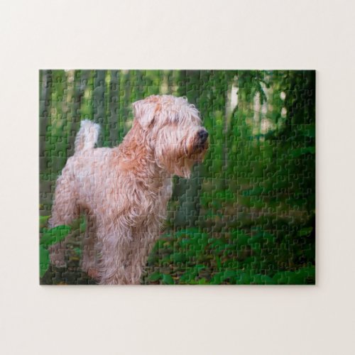 Wheaten Terrier Dog Jigsaws Jigsaw Puzzle