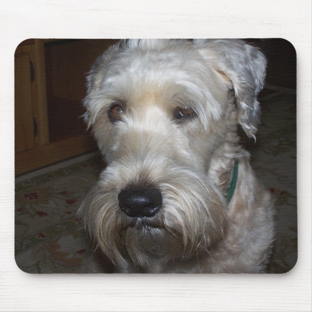 Wheaten Terrier Mouse Pad (Front)