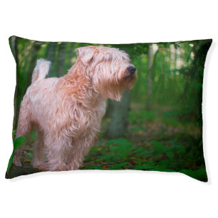 Wheaten Terrier. Pet Bed