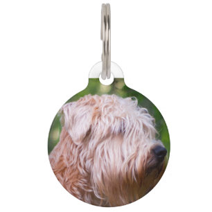 Wheaten Terrier Pet ID Tag