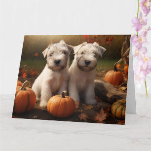 Wheaten Terrier Puppy Autumn Delight Pumpkin Card