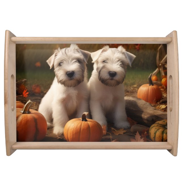 Wheaten Terrier Puppy Autumn Delight Pumpkin Serving Tray (Front)