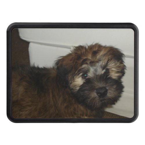 Wheaten_terrier puppy hitch cover