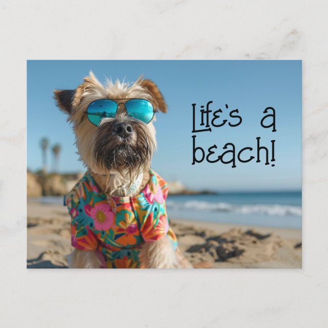 Wheaten Terrier Puppy wearing sunglasses Postcard (Front)
