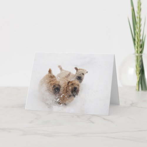 Wheaten Terriers running in snow Holiday Card