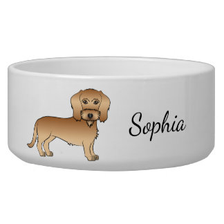 Wheaten Wire Haired Dachshund Cartoon Dog And Name Bowl