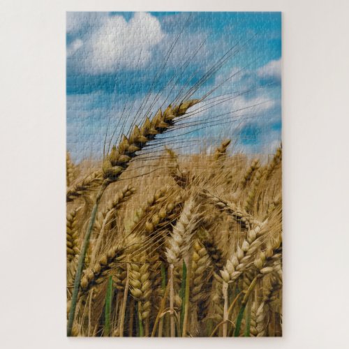 Wheatfied under a blue sky jigsaw puzzle