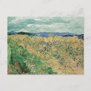 Wheatfield with Cornflowers Vincent van Gogh Postcard
