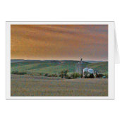 Wheatfields (Front Horizontal)