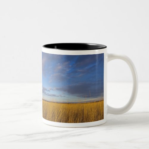 Wheatgrass and dramatic skies at Freezeout Lake Two_Tone Coffee Mug