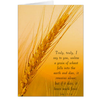 WheatSun Cards