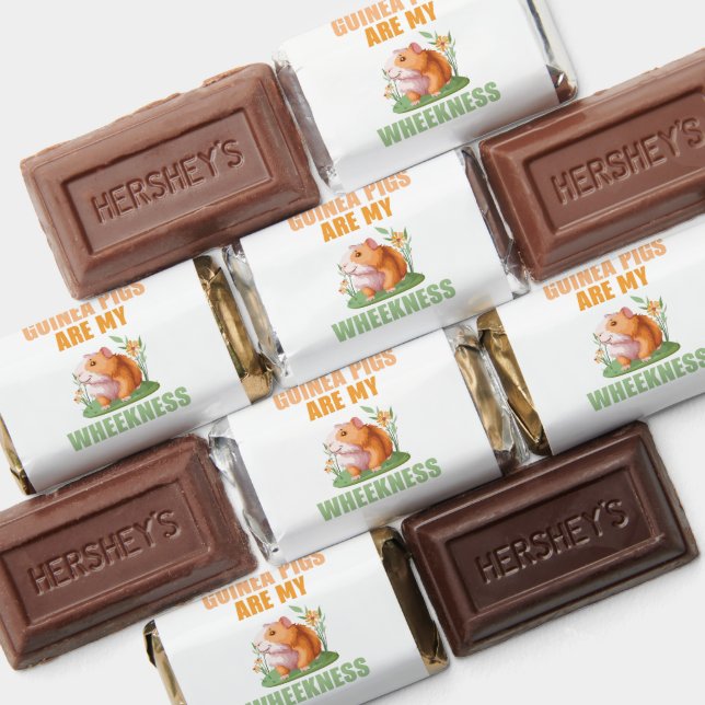 Wheekness Chocolates Hershey's Miniatures (Assorted)