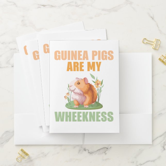 Wheekness Pocket Folders (In Situ)