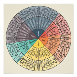 Wheel Of Emotions Photo Print