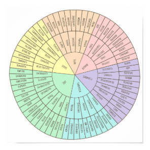 Wheel of emotions poster