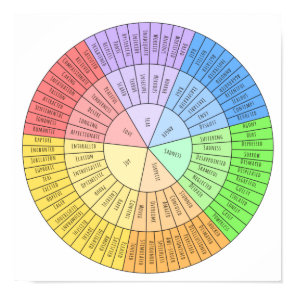Wheel of emotions poster