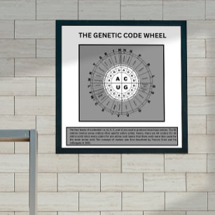 Wheel of genetic code  poster