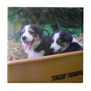 Wheelbarrow Ride Ceramic Tile