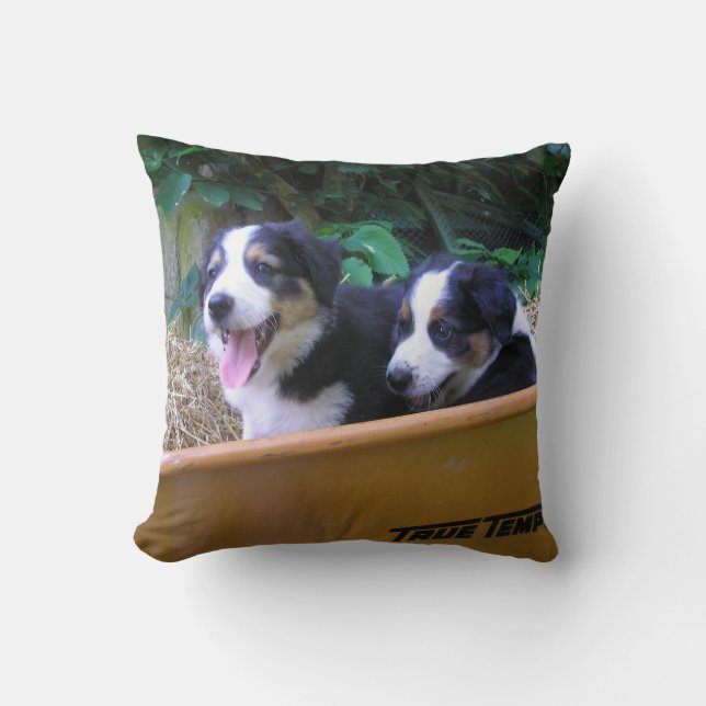 Wheelbarrow Ride Throw Pillow (Front)