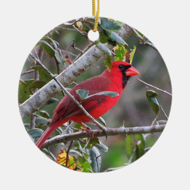 When a Cardinal Appears a Loved one from Heaven is Ceramic Ornament (Front)