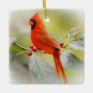 When a Cardinal Appears a Loved one from Heaven is Ceramic Ornament