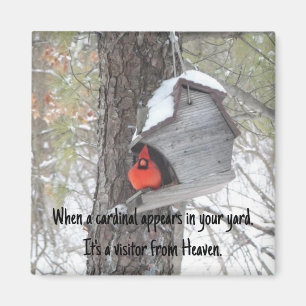 When a cardinal appears in your yard. Magnet. Magnet