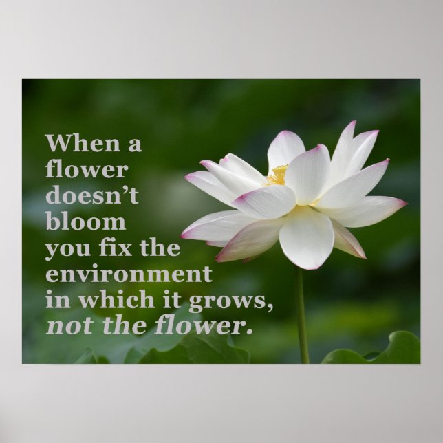 When a Flower Doesn't Bloom Poster (Front)