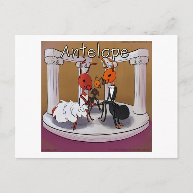 When Ants Elope Rick London Funny Postcard (Front)