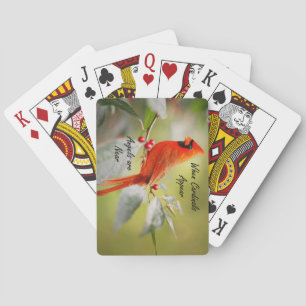 When Cardinals Appear, Angels are Near Poker Cards