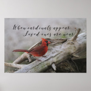 When cardinals are appear, loved ones are near poster