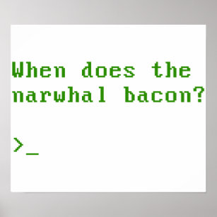 When Does the Narwhal Bacon VGA Reddit Question Poster