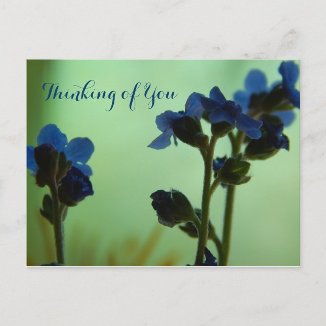 When Feeling Blue ... Postcard (Front)