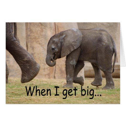 When I Get Big... Cards (Front Horizontal)