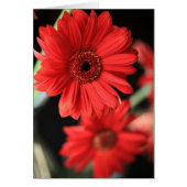 When I had an affair (Front)