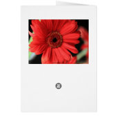 When I had an affair Cards (Back)