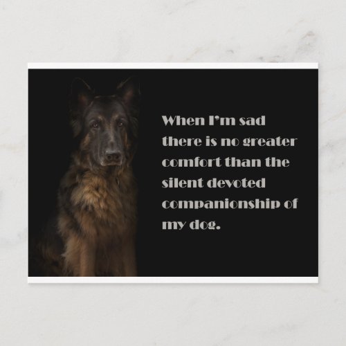 When Im sad dog  Postcard