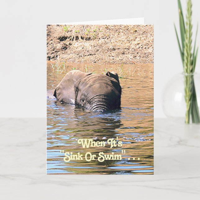 WHEN IT'S SINK OR SWIM/ELEPHANT SWIMMING ACROSS RI CARD (Front)