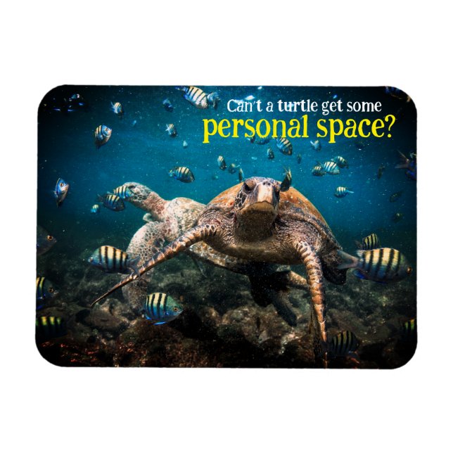 When life gets tough, just keep swimming  magnet (Horizontal)