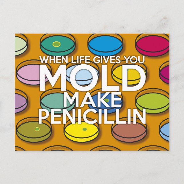 WHEN LIFE GIVE YOU MOLD POSTCARD (Front)