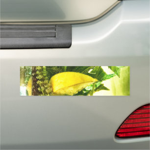 When life gives you lemons car magnet