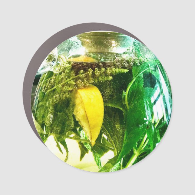 When life gives you lemons  car magnet (Front)