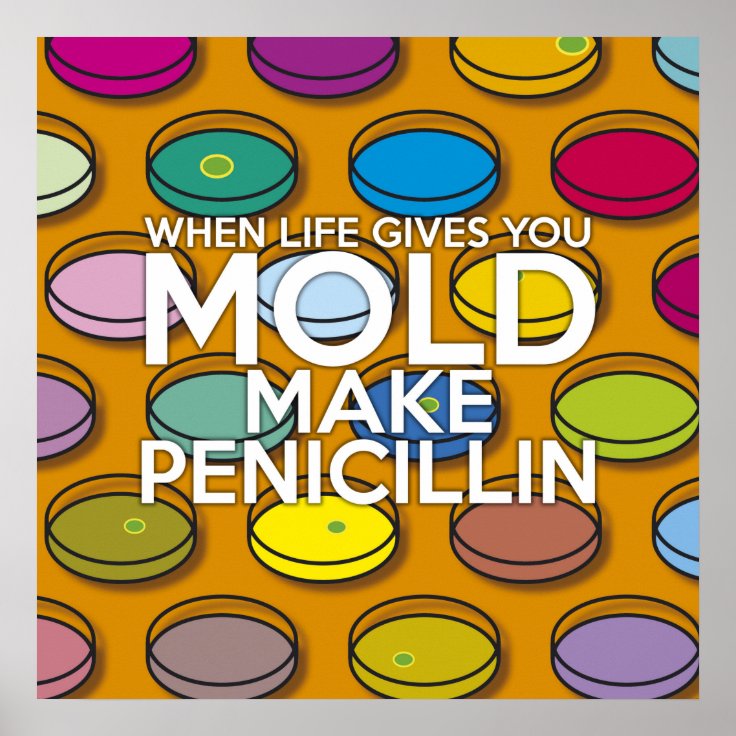 WHEN LIFE GIVES YOU MOLD MAKE PENICILLIN SCIENCE POSTER Zazzle