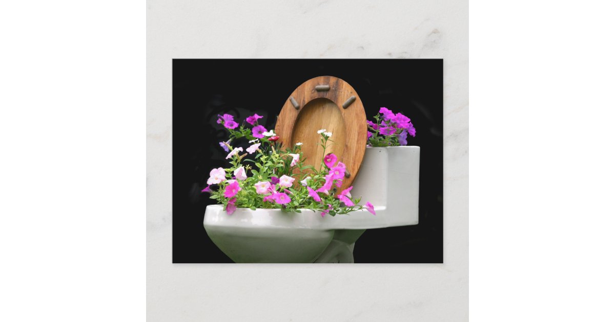 when-life-gives-you-poop-postcard-zazzle