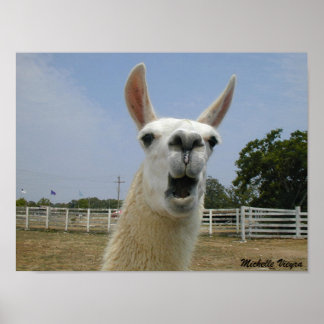When Llamas Attack Poster