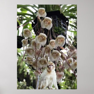 When nature copies nature. poster